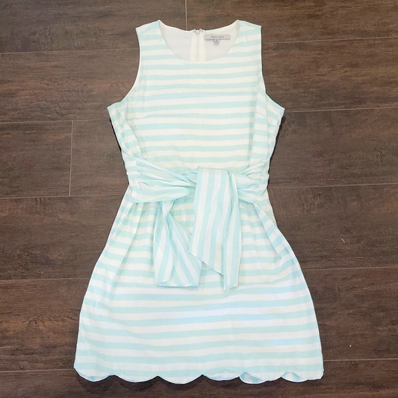 Naked Zebra Dresses & Skirts - Pretty Spring Blue Striped Dress